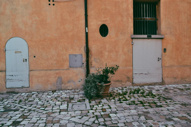 a large brown brick building with two small white doors and a brown plant