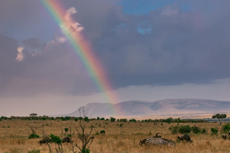 the rainbow appears to have been colored on the sky