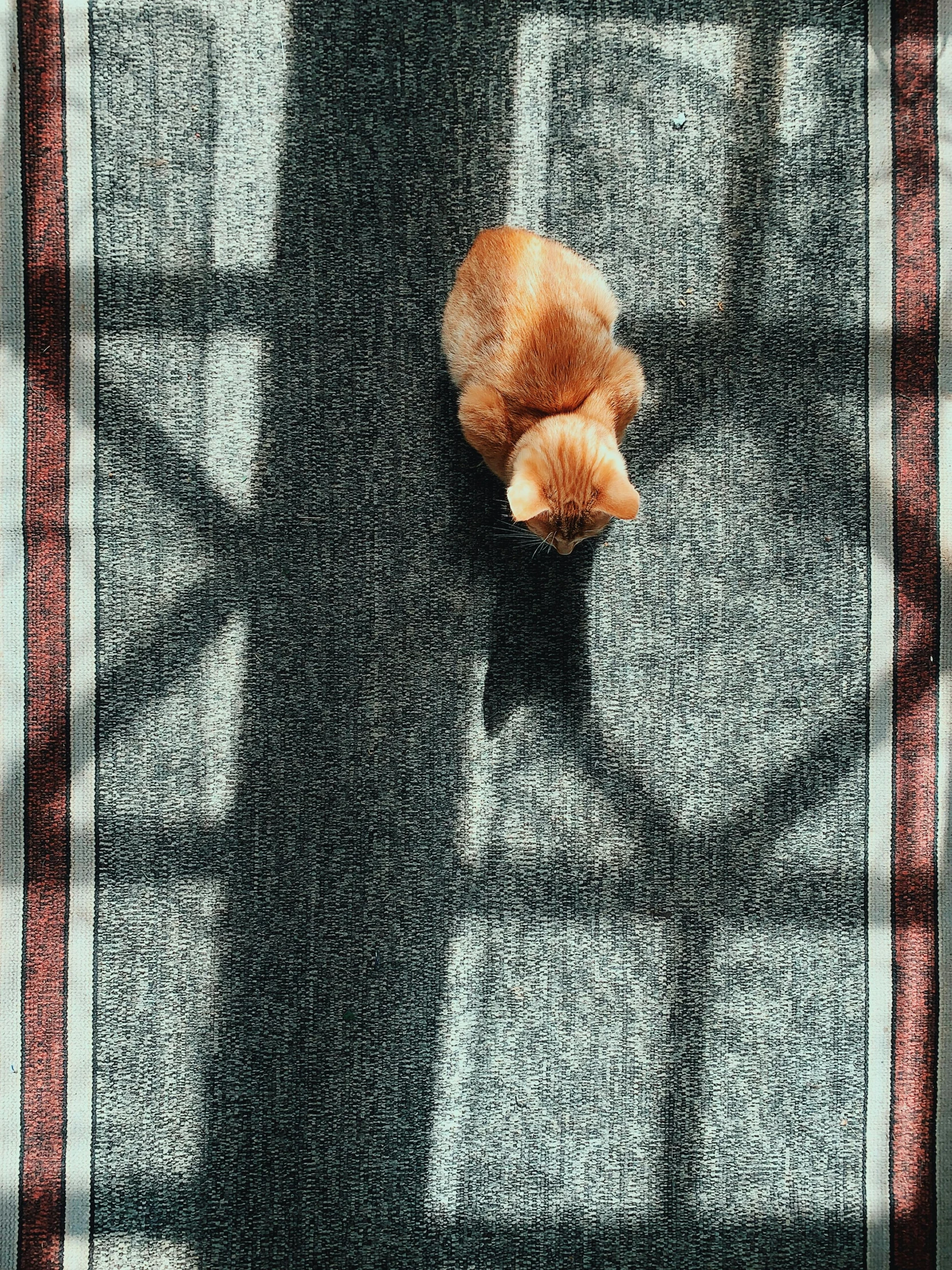 a teddy bear laying on top of a window seal