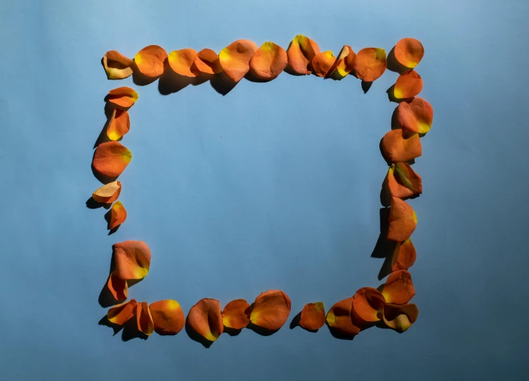 a po taken of some orange objects against a blue background