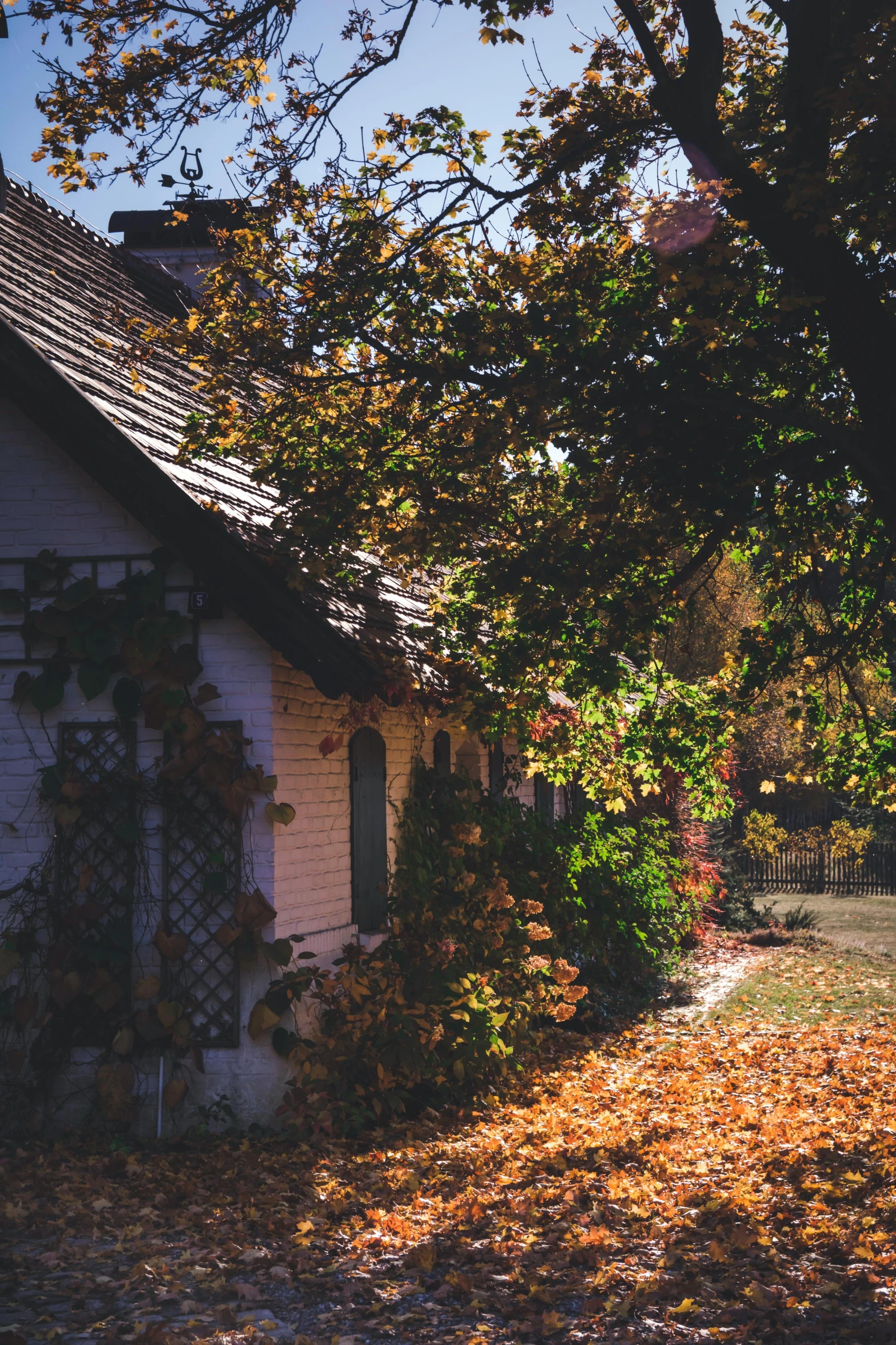 this is a house with some autumn foliage