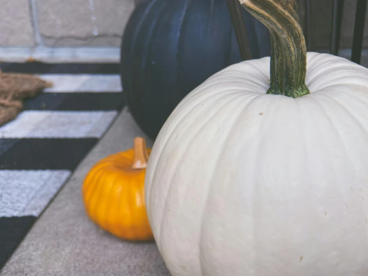 decorative pumpkins with the stem still attached