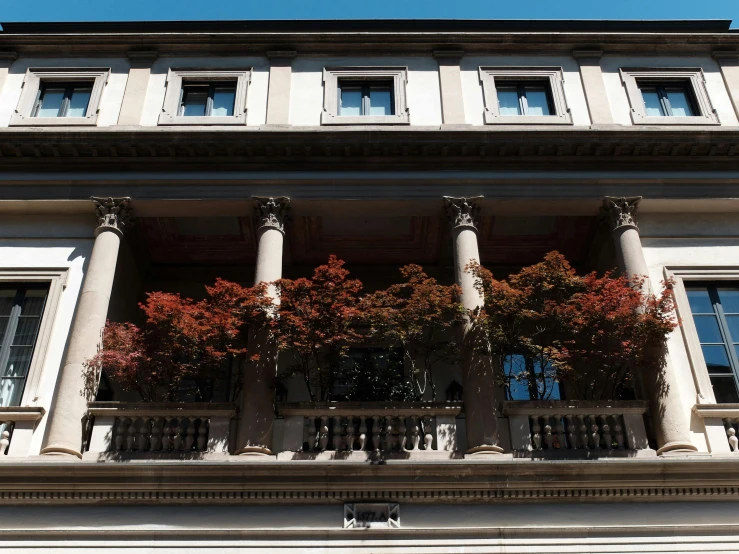 two windows with decorative columns and white pillars