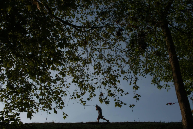 a woman that is standing under a tree