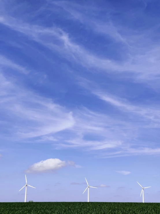 many windmills are on a green field