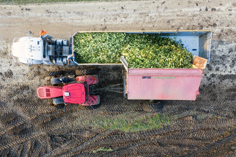 tractor trailer loaded with plants and gardening equipment