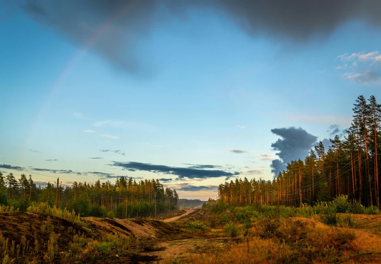 there is a rainbow that appears in the sky over trees