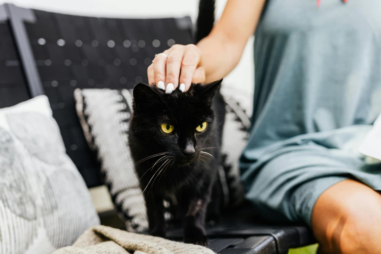 a black cat sitting on top of a couch next to a person