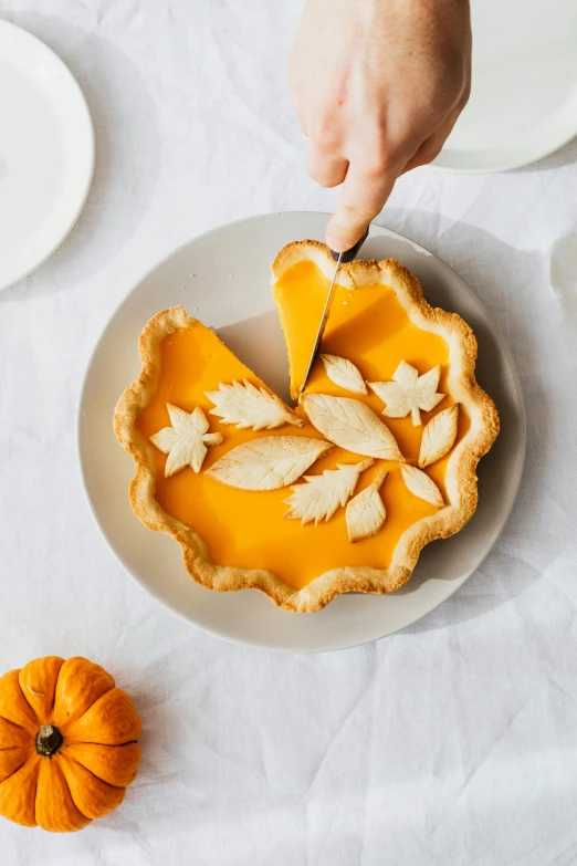 a person  into a pie that has been cut into slices