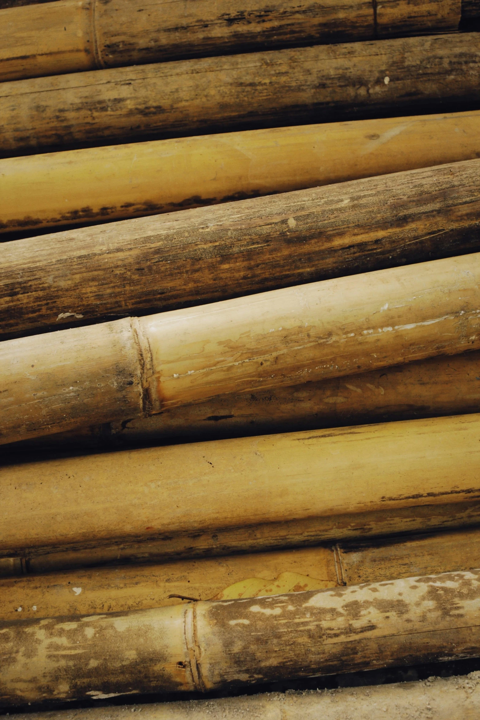 a group of logs stacked on top of each other