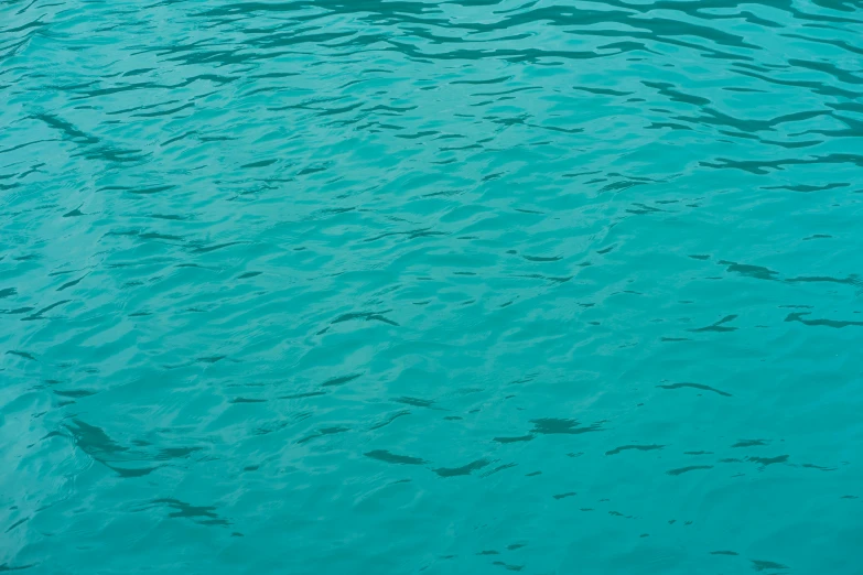 a boat in the water is seen from above