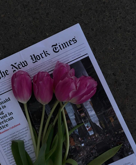three tulips lying on the newspaper next to each other