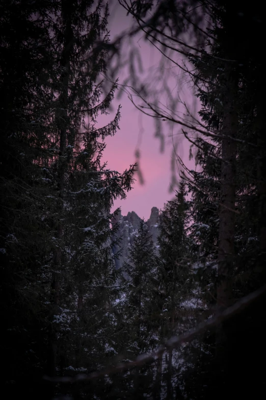 a mountain seen through some trees in the twilight