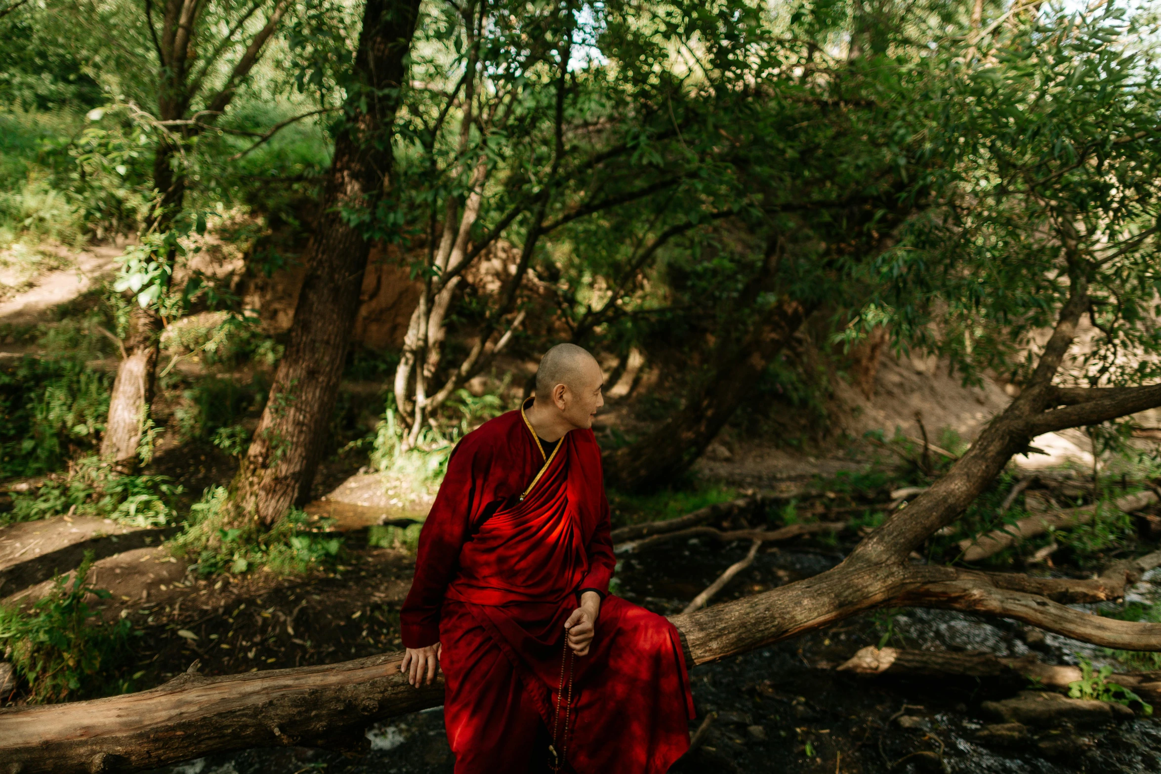 a person dressed in red sitting on some logs