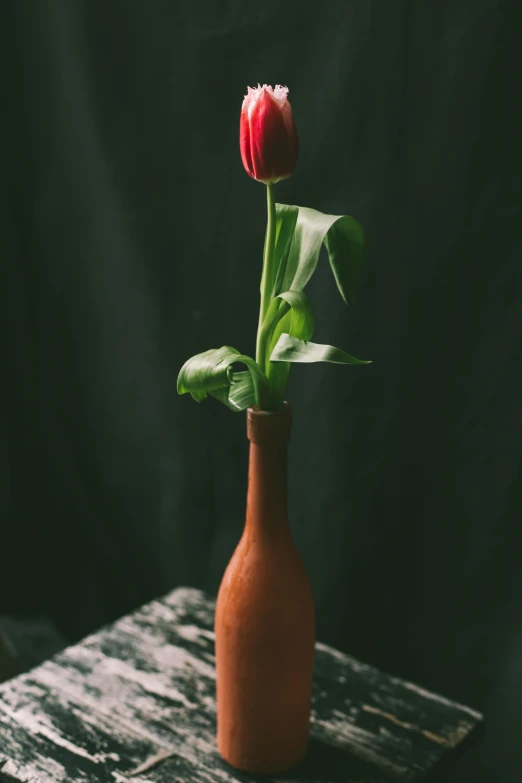 red flower in a red vase with green leaves