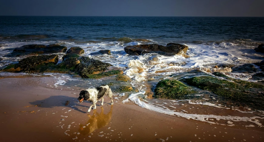 a beach with some rocks on it and water