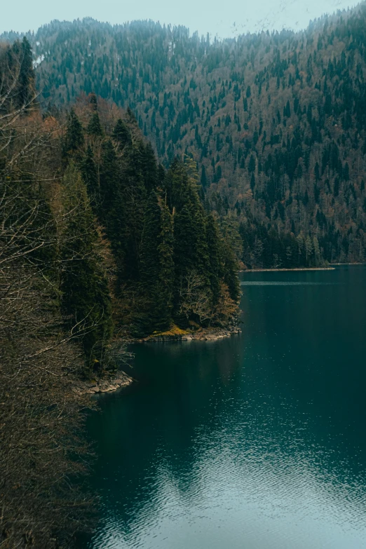 a large body of water surrounded by trees