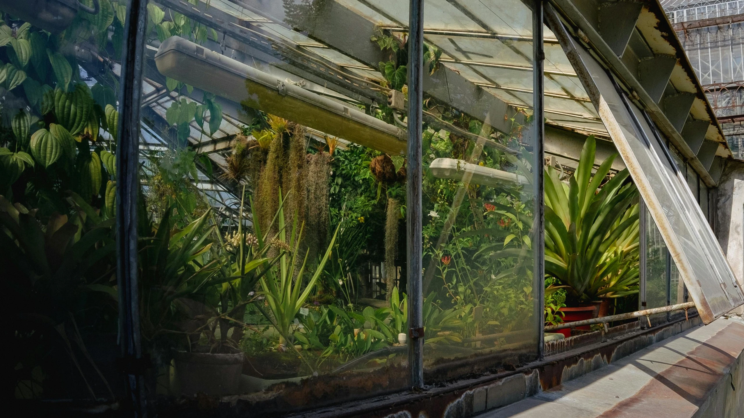 the outside view of a building with many plants inside of it