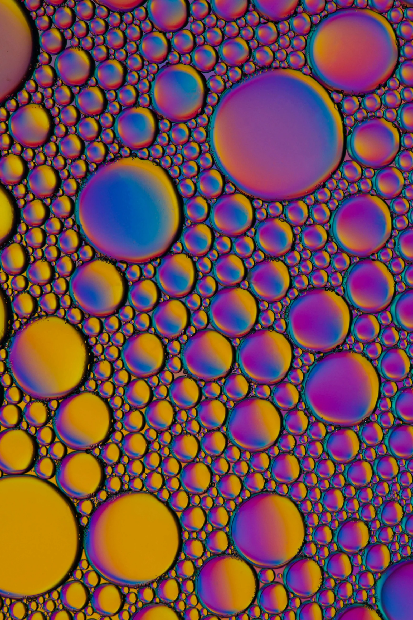 an abstract multicolored po of different sizes of bubbles