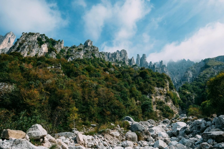 rocks, trees, water and a mountain with rocks on the side