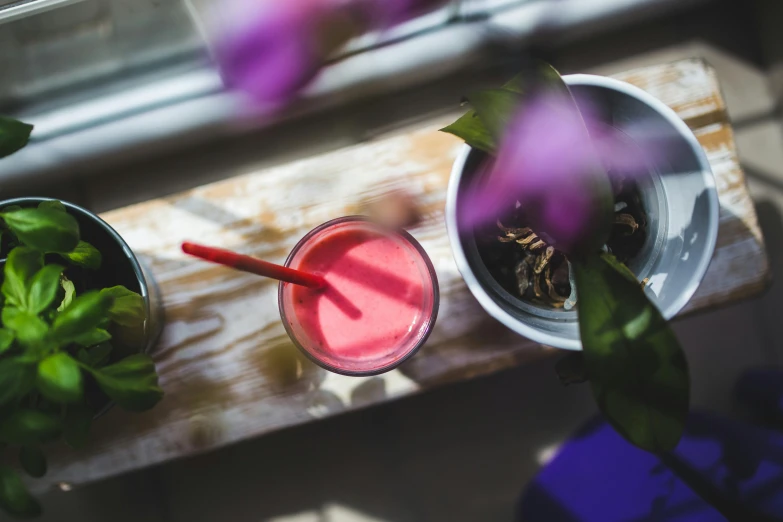 a drink is sitting on a wooden bench next to plants