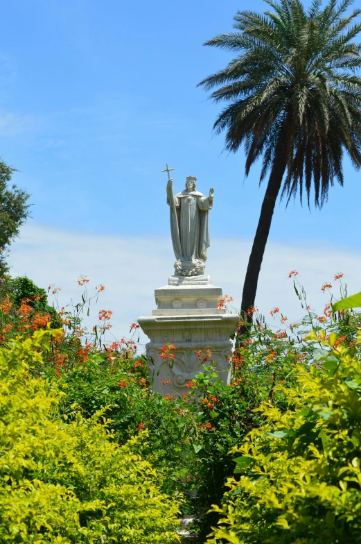 a palm tree with a statue in the background