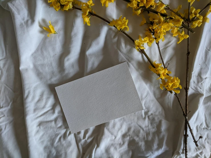 the spring flowers and paper are still on the sheet of paper