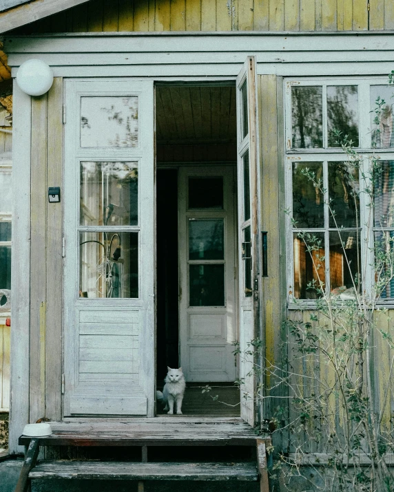 a house with a dog on a porch