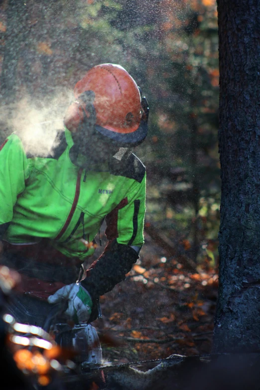 a helmeted man wearing green jacket and safety gloves near tree