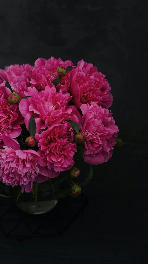 large, pink flowers sit in a small glass vase