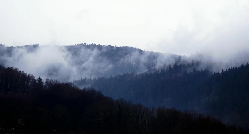 the trees on the mountain are very low lying