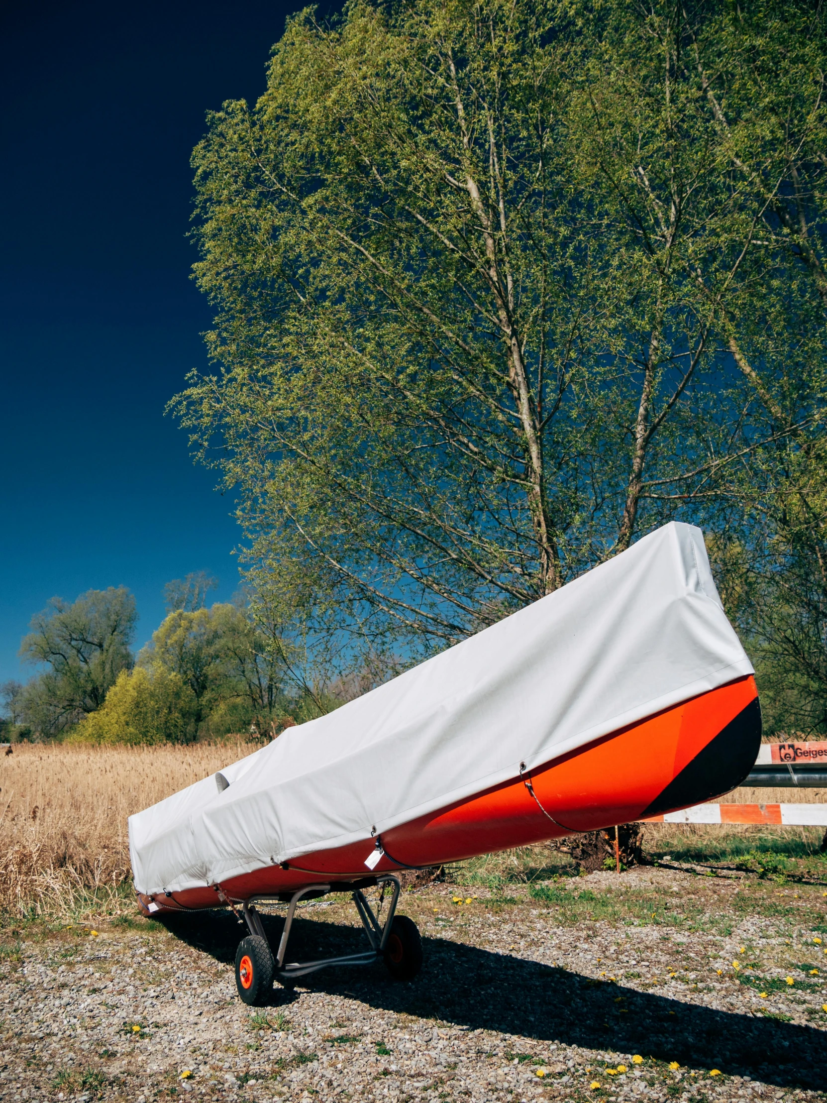 a large white and orange boat parked next to a tree