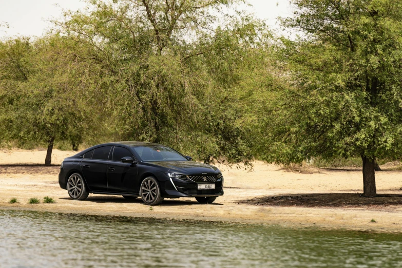 black car on beach near tree's next to water