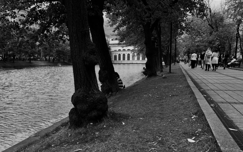 there is a bench next to some trees by the water