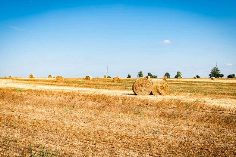 a large bale of hay sits in a field