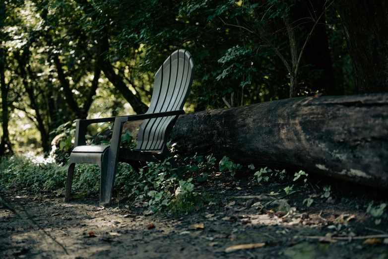 there is an empty bench beside some trees