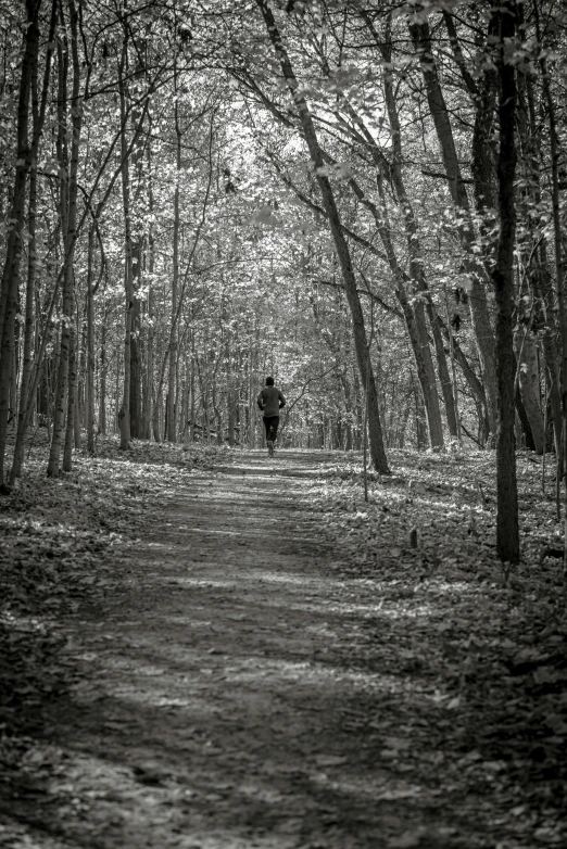 a man walking in a forest carrying an umbrella