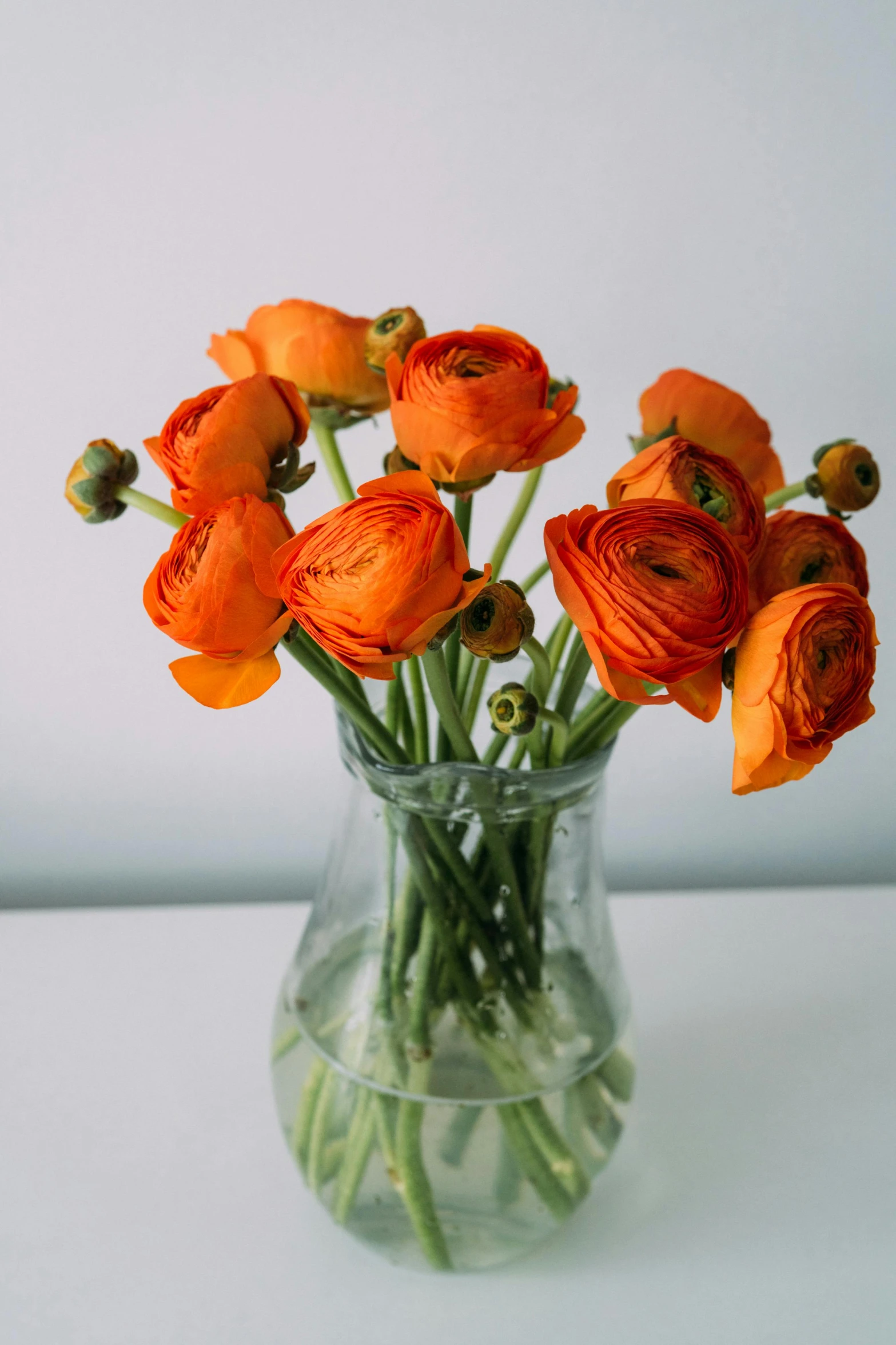 orange flowers in a vase on a table