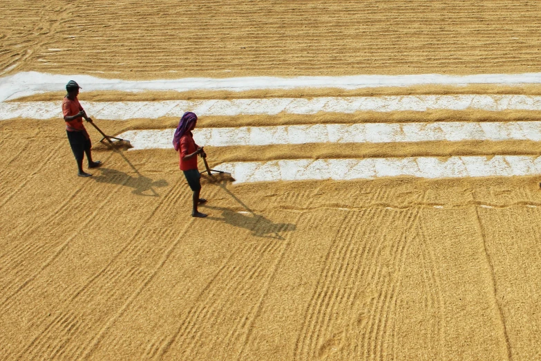 two women are moving a patch of farm land