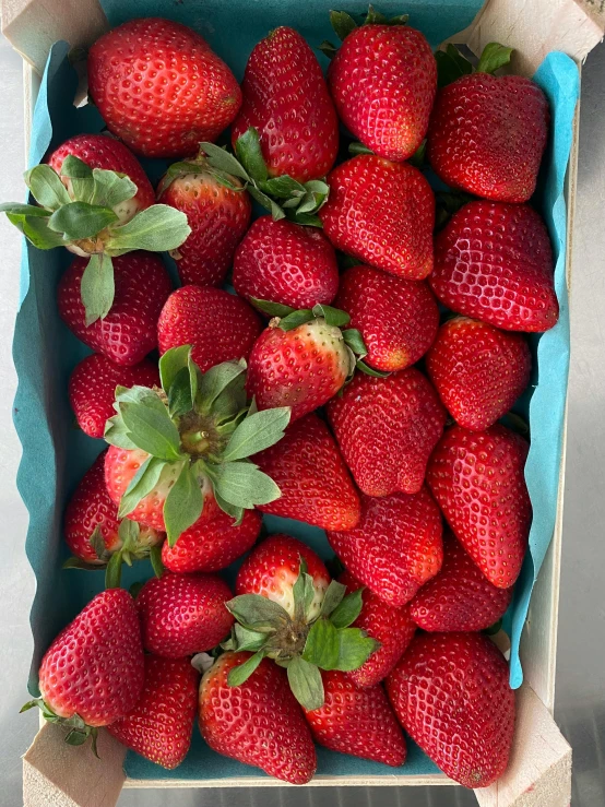 a blue box filled with red strawberries