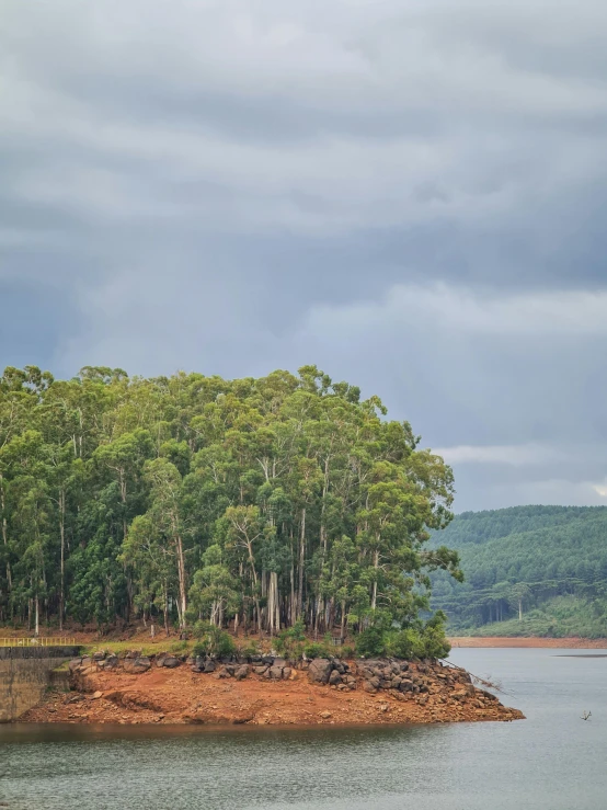 an island with trees on the edge of it