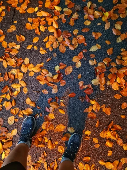 feet standing on a carpet of leaves as they spread out