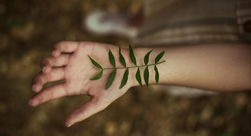 a leaf on someone's left arm