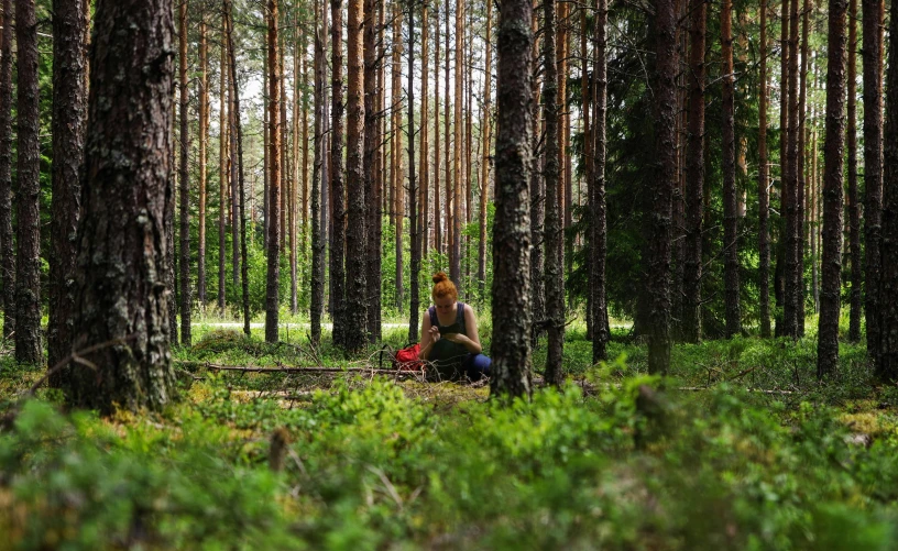 a man sitting alone in a dense pine forest