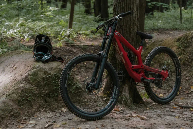 the bike has been stopped next to a tree