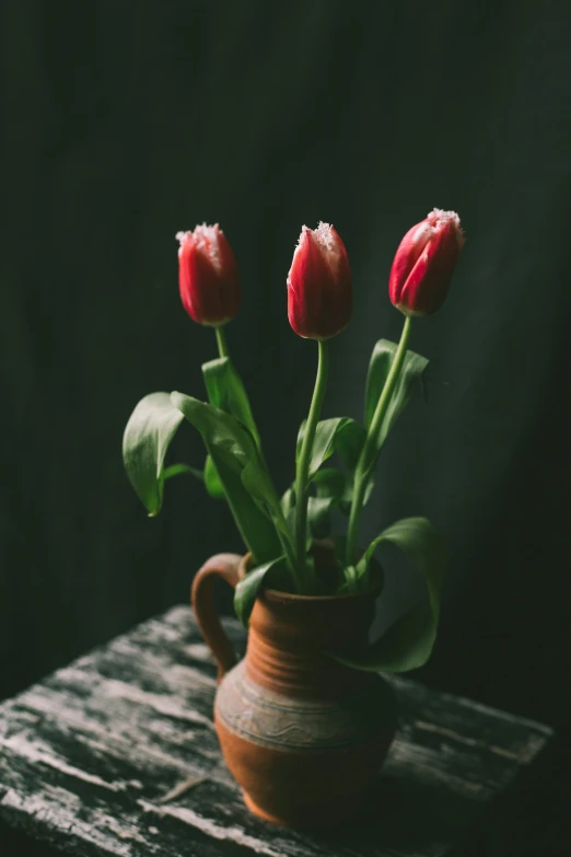 small red flowers in a brown vase sit atop a wooden table