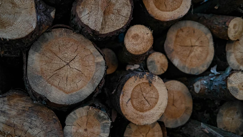 a pile of cut logs on top of each other