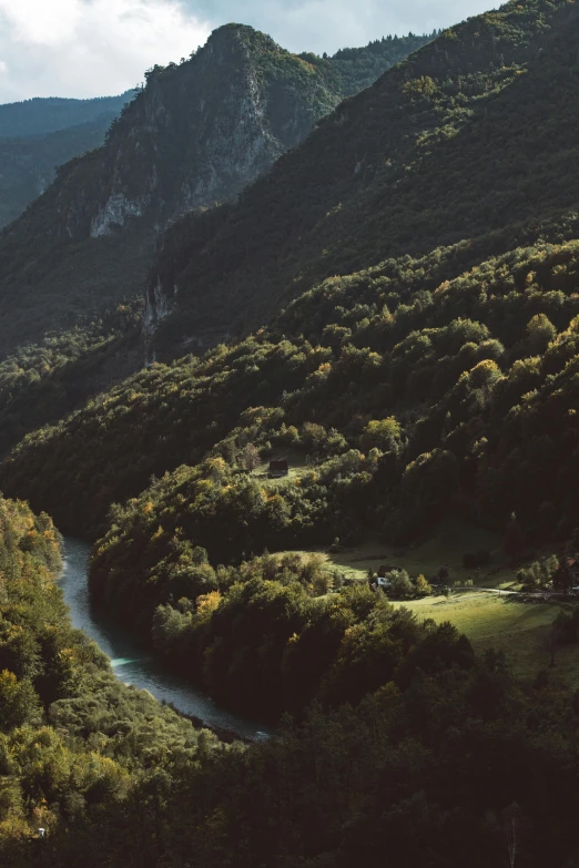 a scenic valley with several trees and water