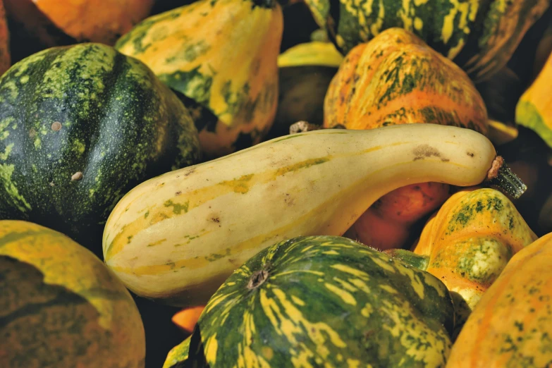 a bunch of vegetables sitting together on the ground