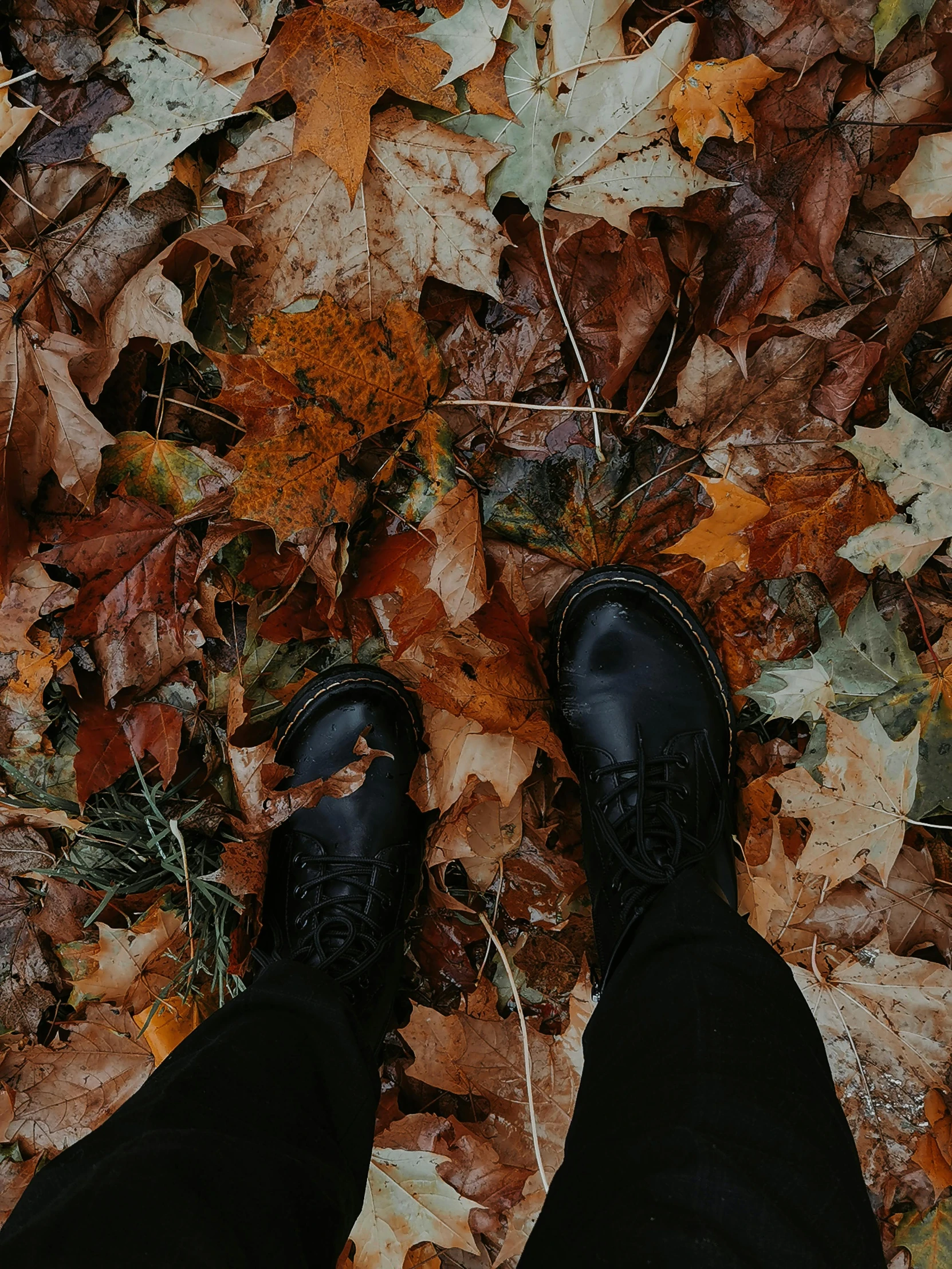 a person standing on top of leaves and looking down at them